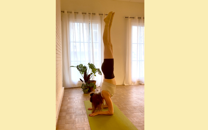 Actualités flow studio